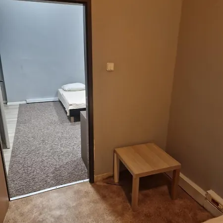 Kaktus * Katoviçe