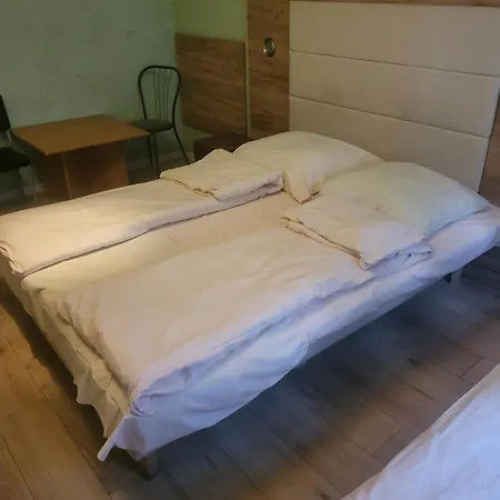 Kaktus