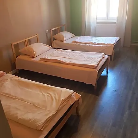Kaktus