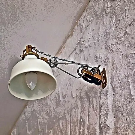 Kaktus *