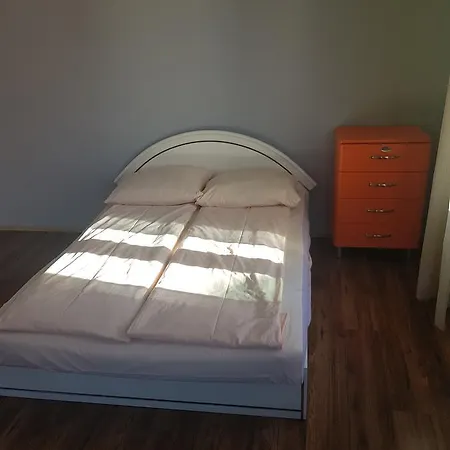 Kaktus *