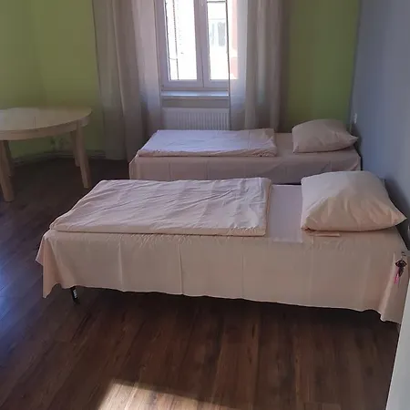 Kaktus *