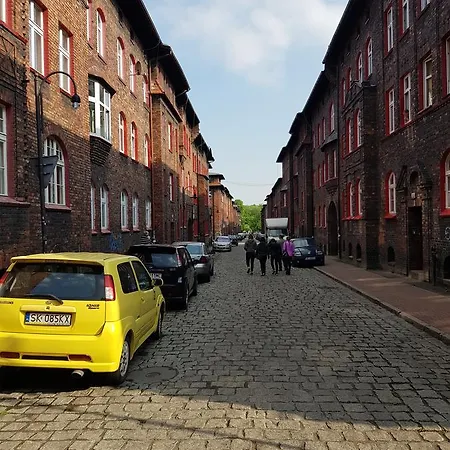Kaktus * Katowice