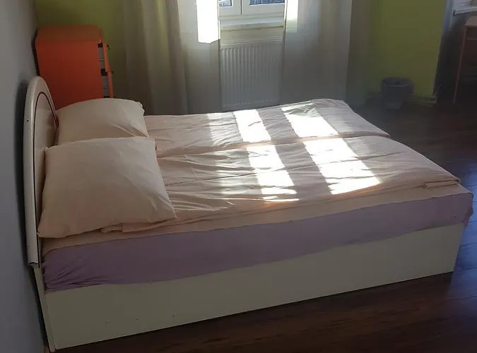 Kaktus Hostal Katowice